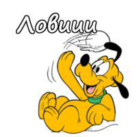 Плуто