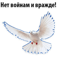 Будь Достойным 9 мая