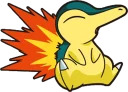 sentret