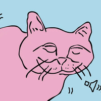 Хороший котик