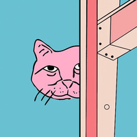 Хороший котик
