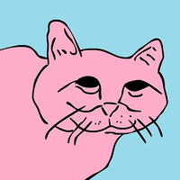 Хороший котик