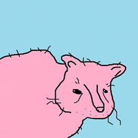 Хороший котик