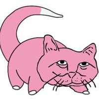 Хороший котик