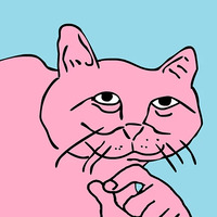 Хороший котик