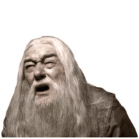 Гарри Поттер