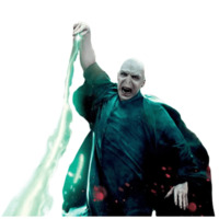 Гарри Поттер