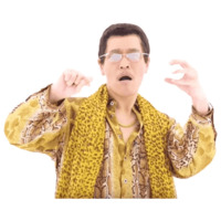 PPAP. Фото