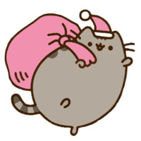 Pusheen 2