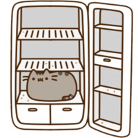 Pusheen 2