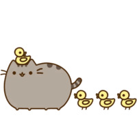 Pusheen 2