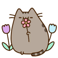Pusheen 2
