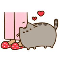 Pusheen 2