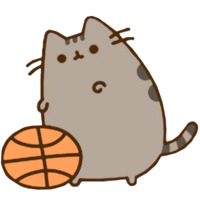 Pusheen 2