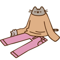 Pusheen 2