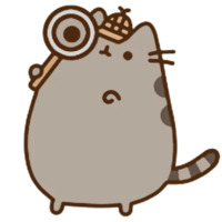Pusheen 2