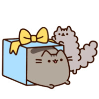 Pusheen 2