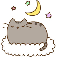 Pusheen 2