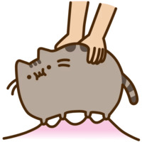 Pusheen 3