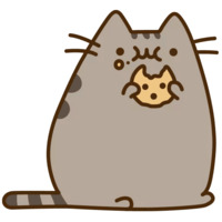 Pusheen 3