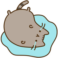 Pusheen 3