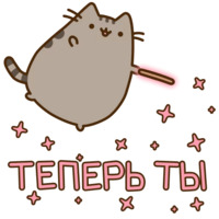 Pusheen 3