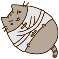 Pusheen 3
