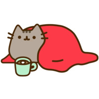 Pusheen 3