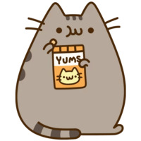 Pusheen 3
