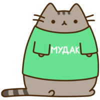 Pusheen 3