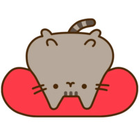 Pusheen 3