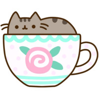 Pusheen 3