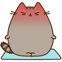 Pusheen 3