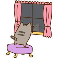 Pusheen 3