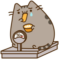 Pusheen 3