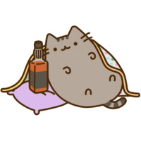 Pusheen 3