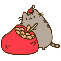 Pusheen 3