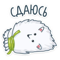 Пушок