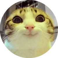 Кошки