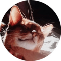 Кошки