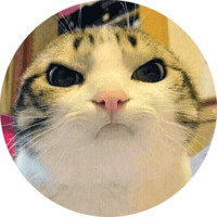 Кошки