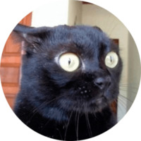 Кошки