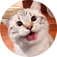 Кошки