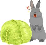 Rabbits @keiriststicks