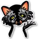Raccoon