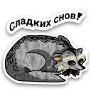 Raccoon