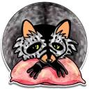 Raccoon