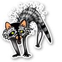 Raccoon
