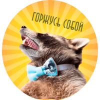 Енот Тёма