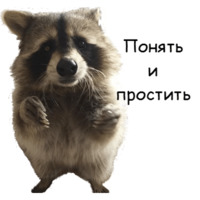 Енот Тёма